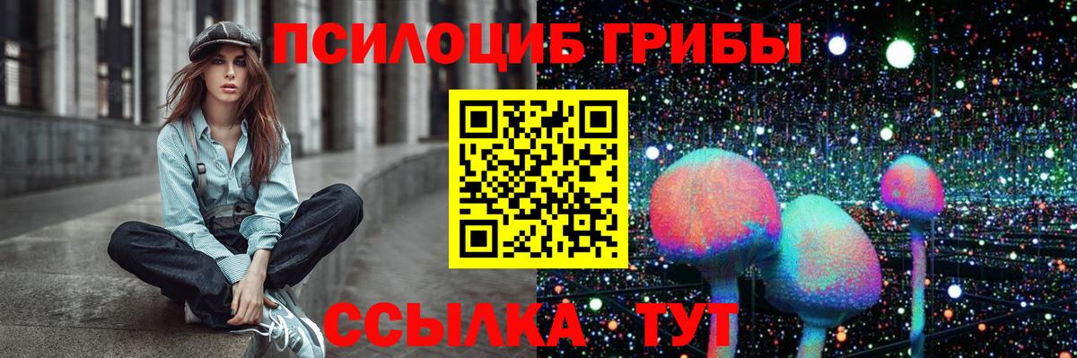 Псилоцибиновые грибы прущие грибы Красный Сулин