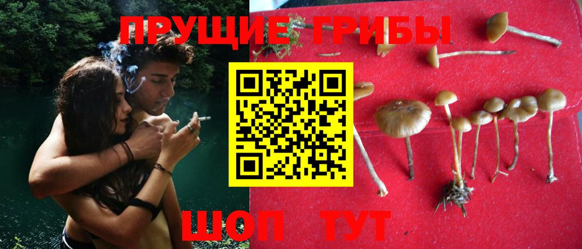 Красный Сулин  купить  сайты  Вход с VPN  Галлюциногенные грибы прущие грибы 